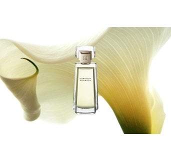 Carolina Herrera Woman Edt 100Ml Tester