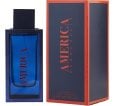Perry Ellis America Men Edt 100Ml