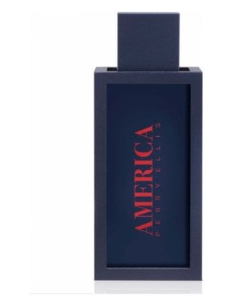 Perry Ellis America Men Edt 100Ml