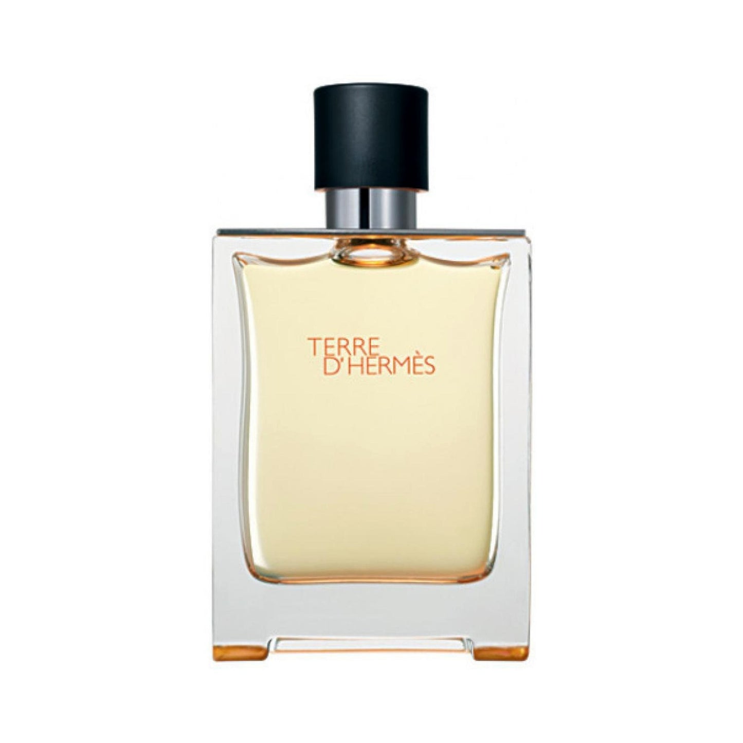 TERRE DE HERMES MEN EDT 100ML