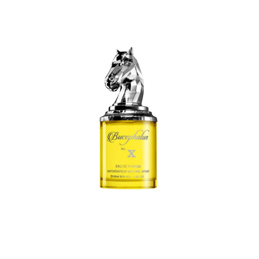 ARMAF BUCEPHALUS X MEN EDP 100ML